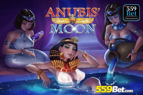 Multi-Sport Coverage